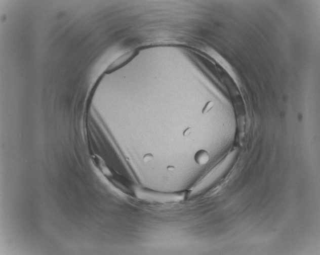 X0000071761293200607282138