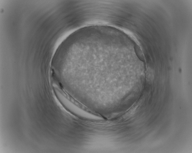 X0000071761295200607282138