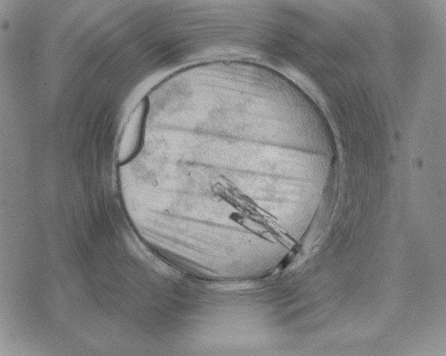 X0000071761296200607282138