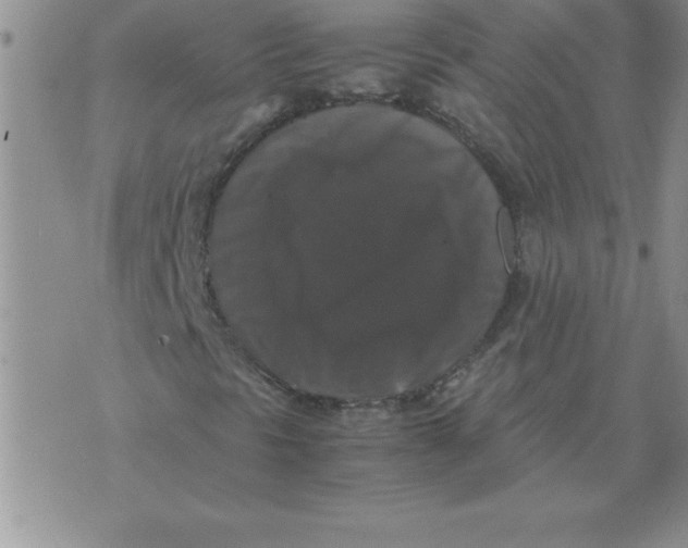 X0000071761297200607282137