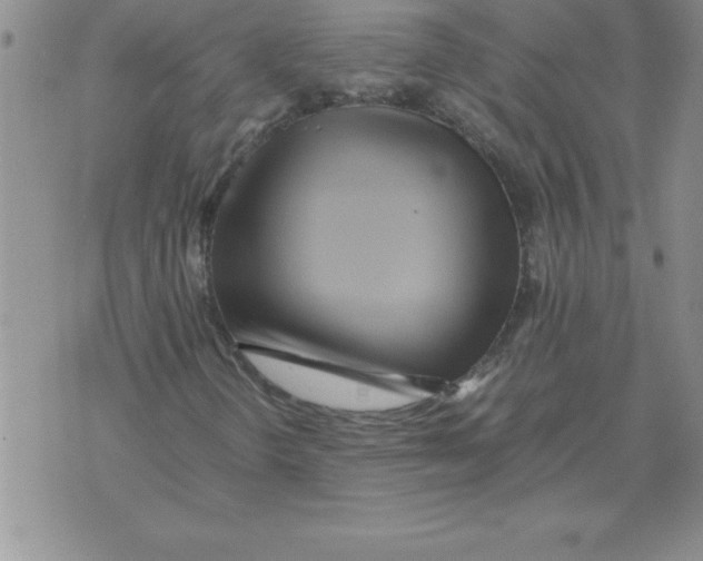 X0000071761298200607282138