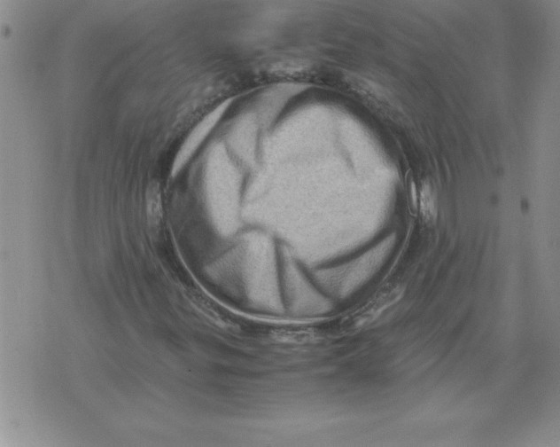 X0000071761299200607282138