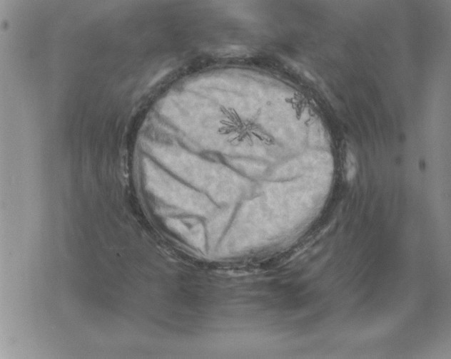 X0000071761301200607282138