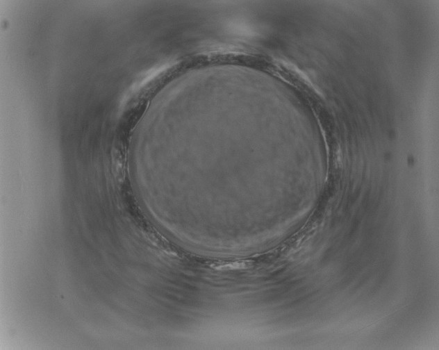 X0000071761303200607282138