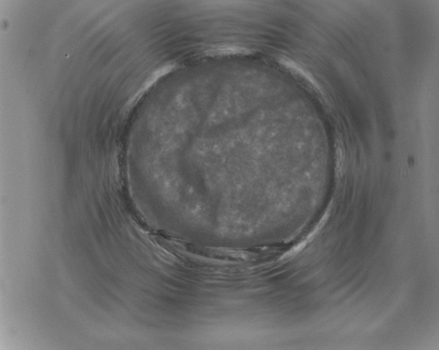 X0000071761305200607282138