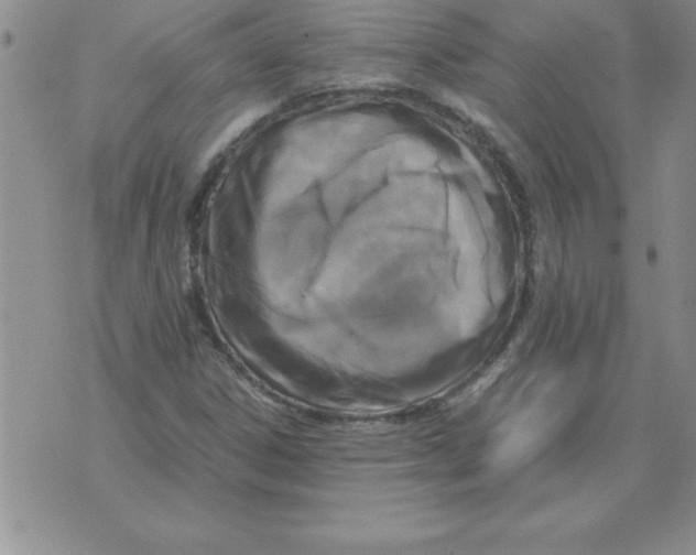 X0000071761306200607282138