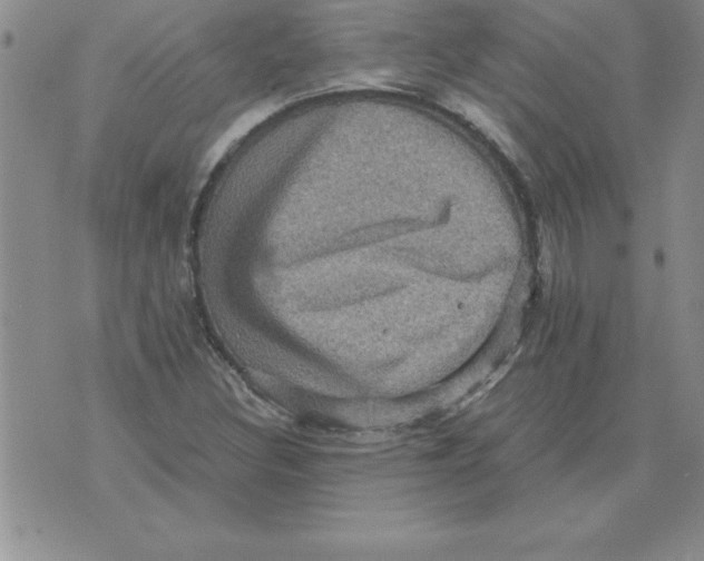 X0000071761308200607282138