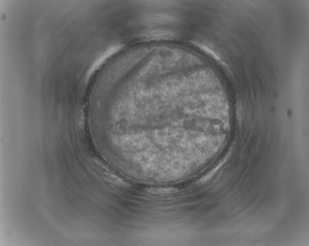 X0000071761309200607282138