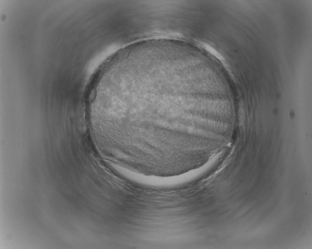 X0000071761310200607282138