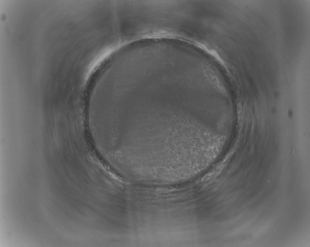 X0000071761311200607282138