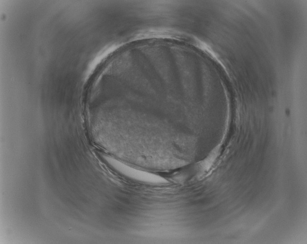 X0000071761312200607282138