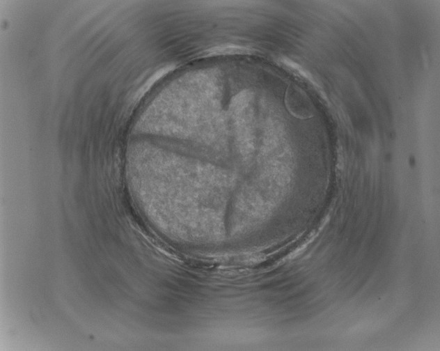 X0000071761313200607282138