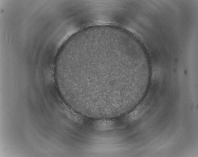 X0000071761314200607282138