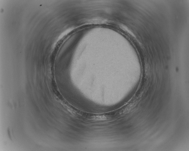 X0000071761315200607282138