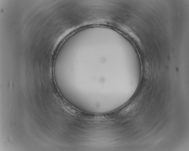 X0000071761316200607282138