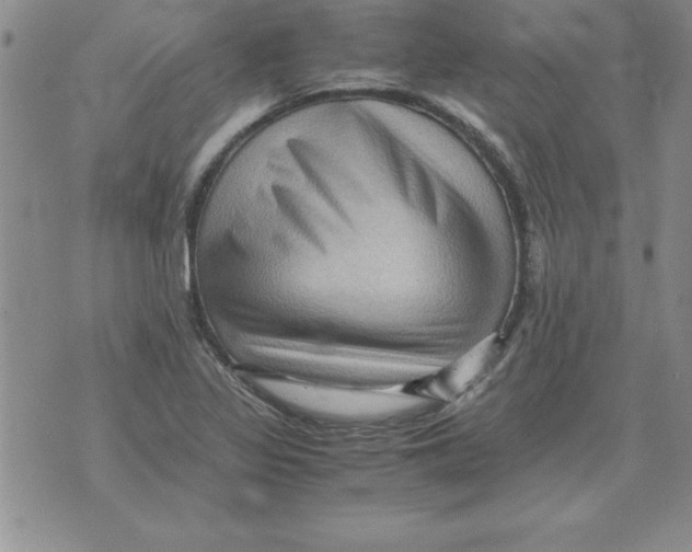 X0000071761317200607282138