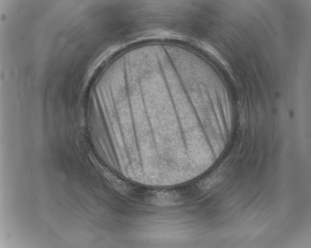 X0000071761318200607282138