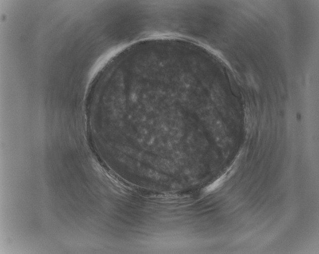 X0000071761319200607282138