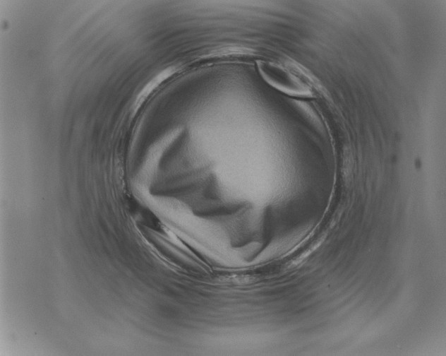 X0000071761321200607282138