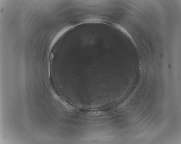 X0000071761323200607282138