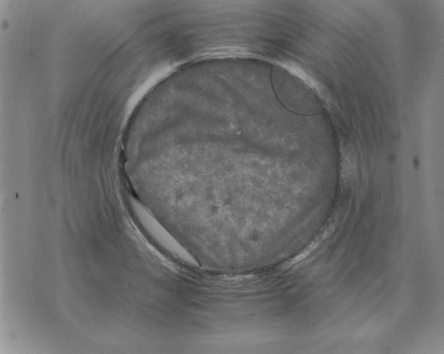 X0000071761325200607282138