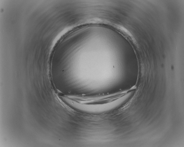 X0000071761326200607282138