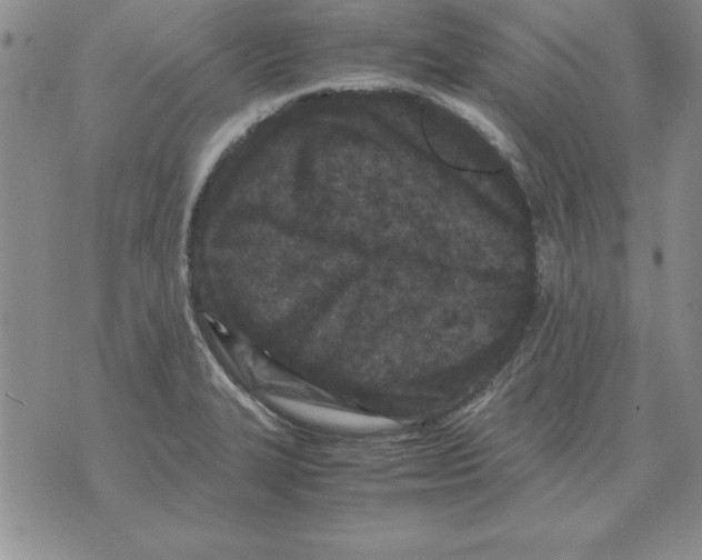 X0000071761327200607282138