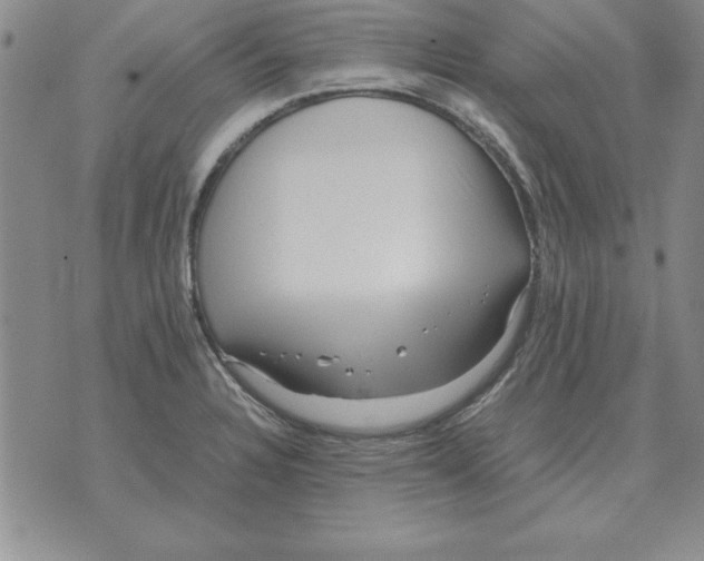 X0000071761328200607282138