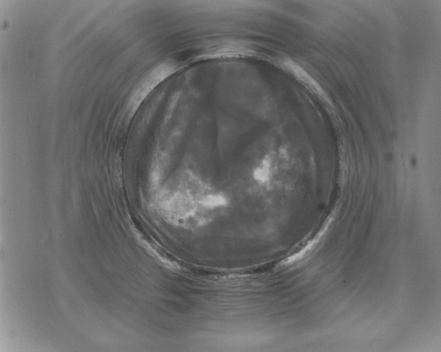 X0000071761329200607282138