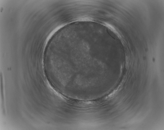 X0000071761331200607282138