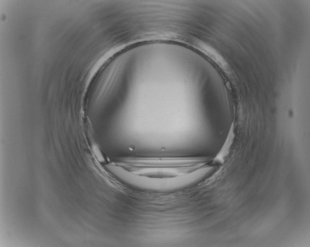 X0000071761332200607282138