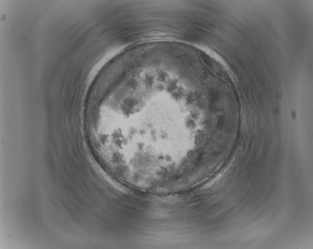 X0000071761333200607282138