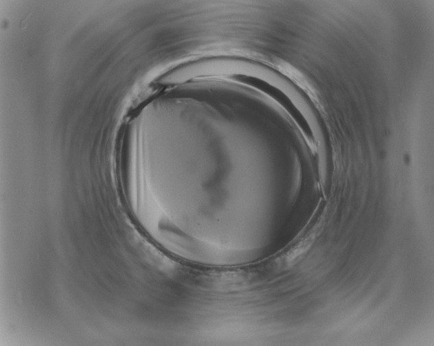 X0000071761334200607282138