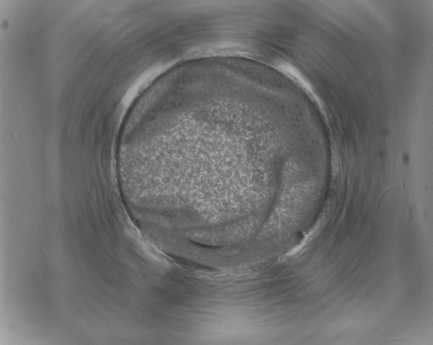 X0000071761336200607282138