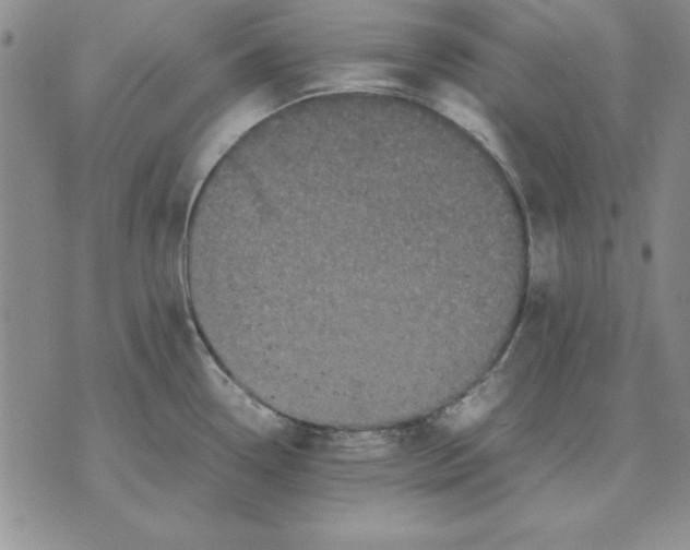 X0000071761338200607282138