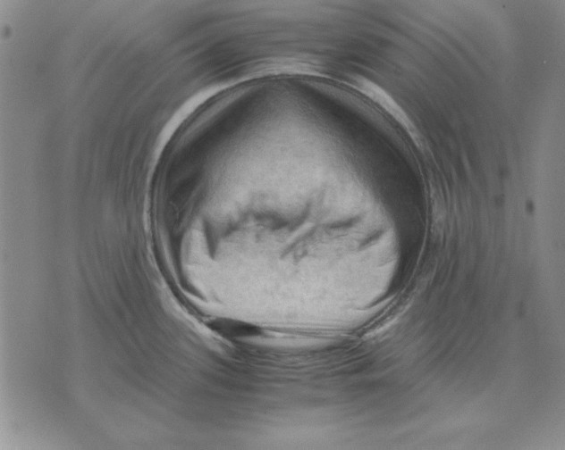 X0000071761339200607282138