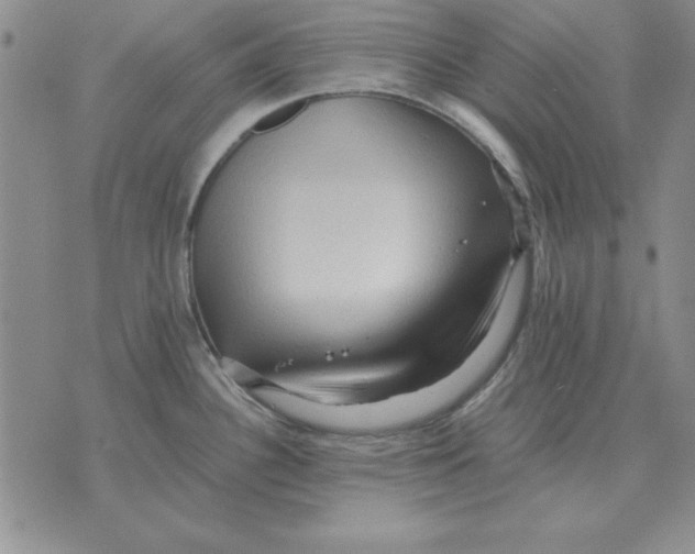 X0000071761340200607282138