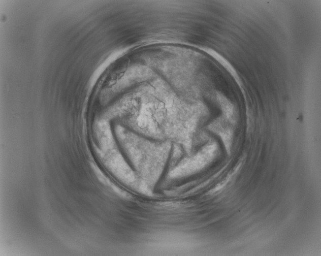 X0000071761341200607282138