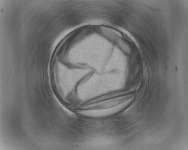 X0000071761343200607282138