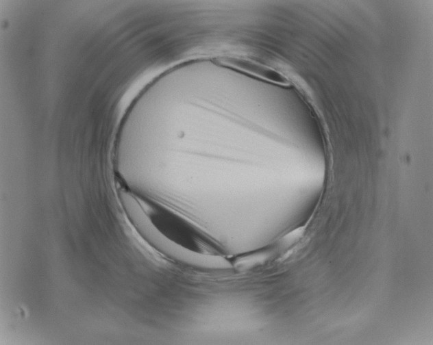 X0000071761344200607282138