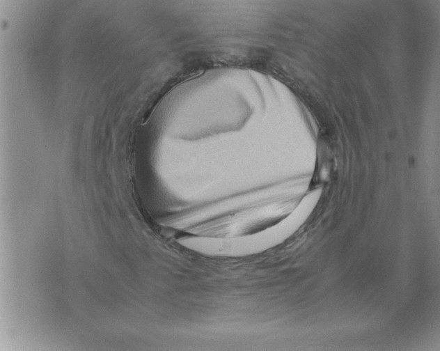 X0000071761345200607282137