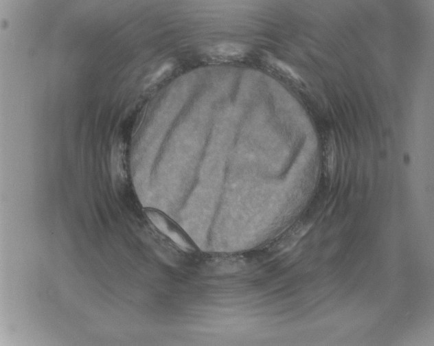 X0000071761346200607282137