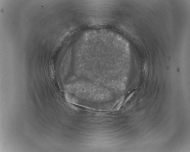 X0000071761348200607282137