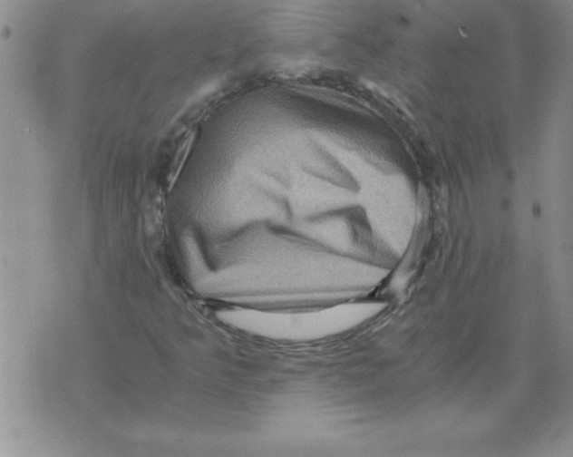 X0000071761349200607282137