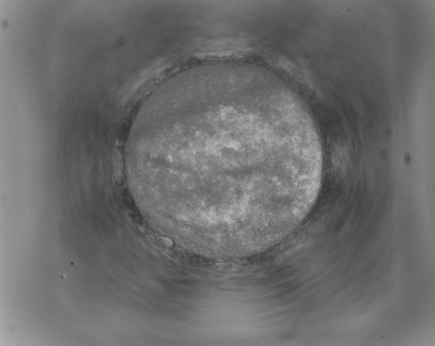 X0000071761350200607282137