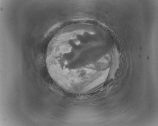 X0000071761351200607282137