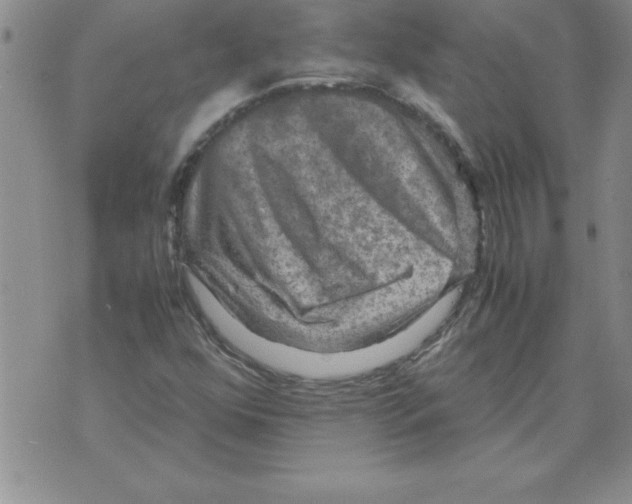 X0000071761352200607282137