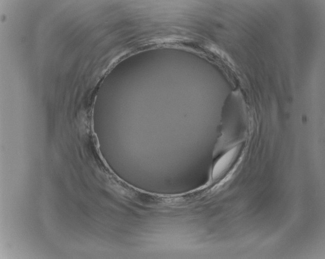 X0000071761353200607282137