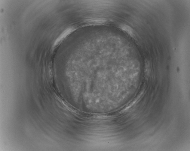 X0000071761354200607282137