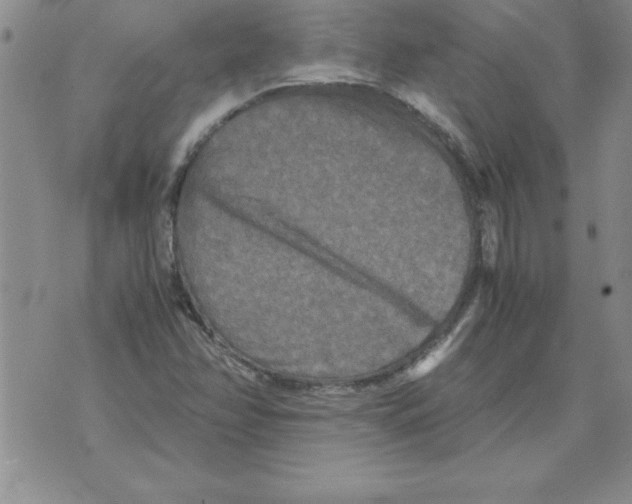 X0000071761358200607282137